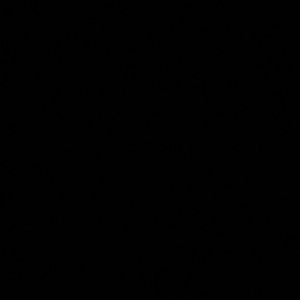 Meet your Posher, Bryce